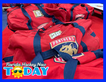 Florida panthers