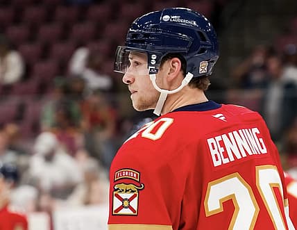 Florida panthers