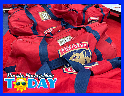 Florida panthers
