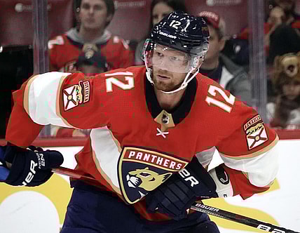 Florida panthers