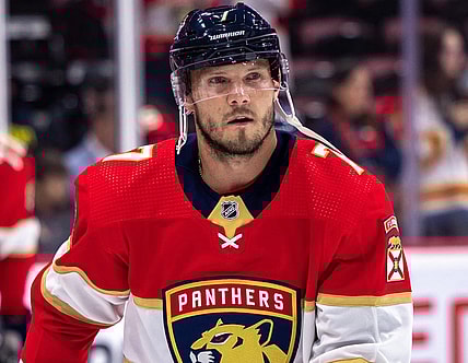 Florida panthers