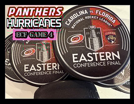 Panthers hurricanes