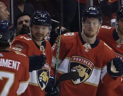 Florida panthers