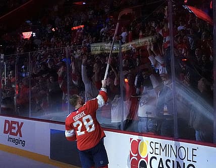 Florida panthers