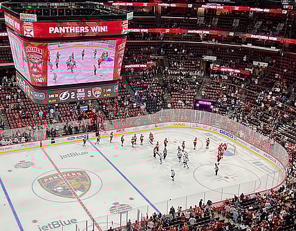 Florida panthers