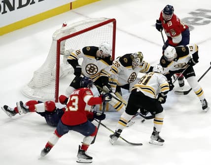 Panthers bruins