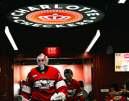Florida panthers
