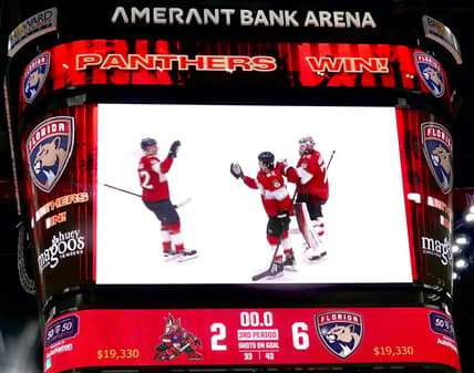 Florida panthers
