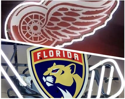 Florida panthers