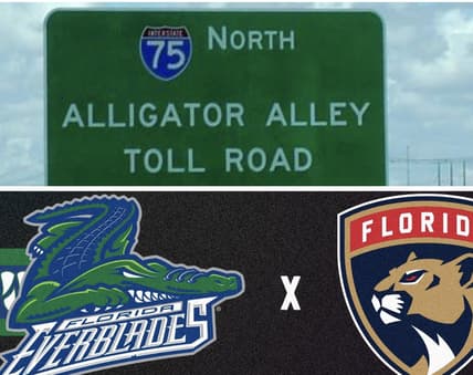 Florida panthers everblades