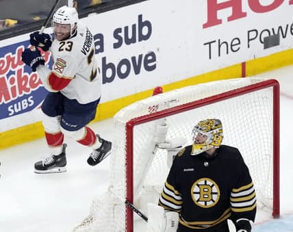 Florida panthers