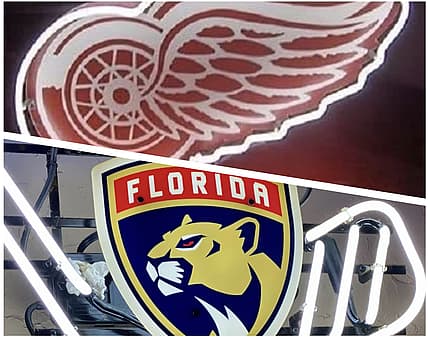 Florida panthers