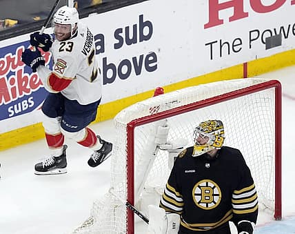 Florida panthers
