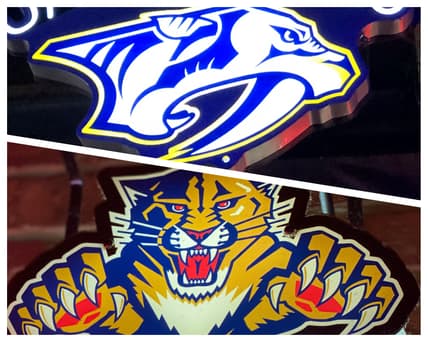 Florida panthers