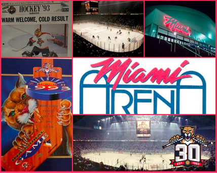 Florida panthers