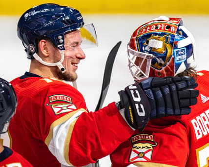 Florida panthers