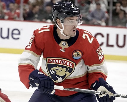 Florida panthers