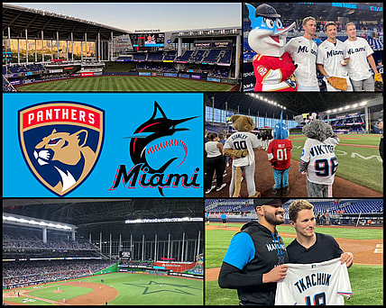 Florida panthers outdoor