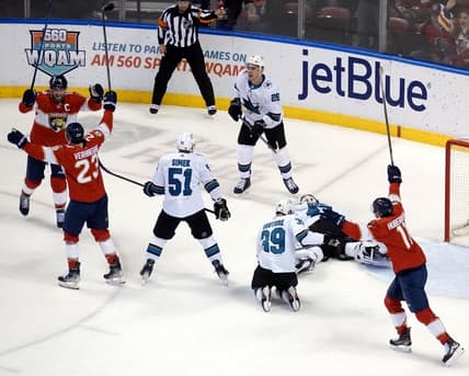 Florida panthers