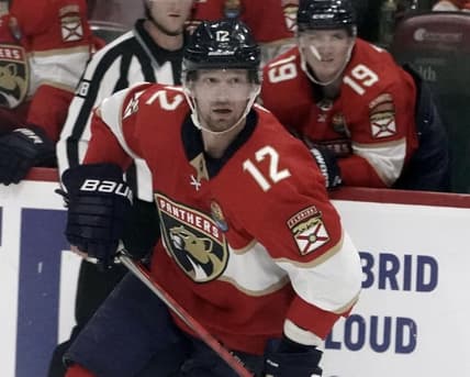 Panthers hurricanes