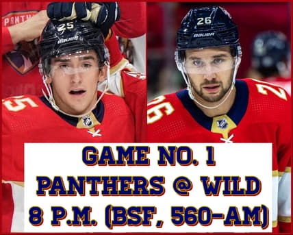 Panthers wild