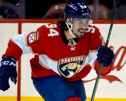 Florida panthers