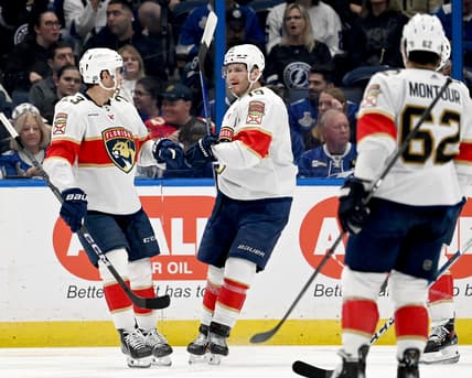 Florida panthers