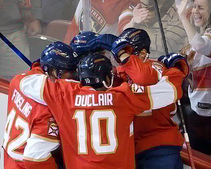 Florida panthers