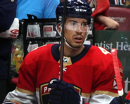 Florida panthers
