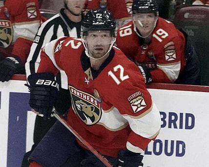 Panthers hurricanes
