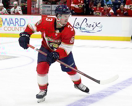Florida panthers