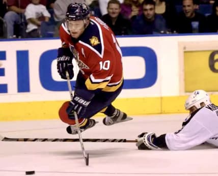 Florida panthers