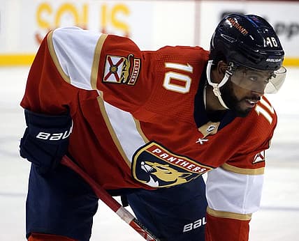 Anthony duclair