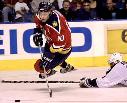 Florida panthers