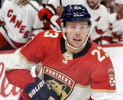 Fantasy hockey