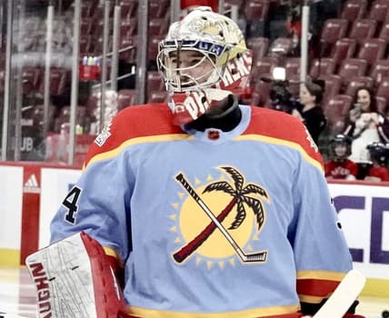 Florida panthers