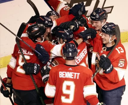 Florida panthers