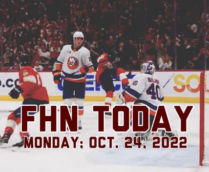 Florida panthers