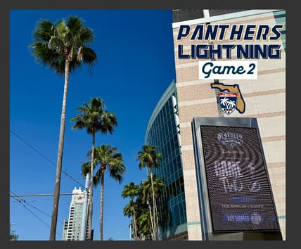Panthers lightning
