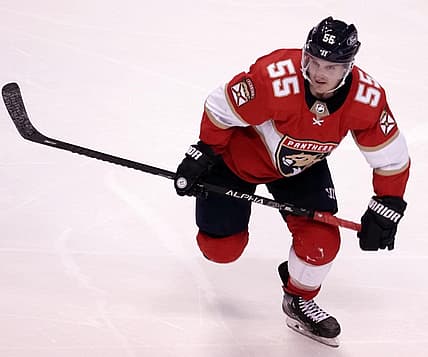 Panthers Noel Acciari