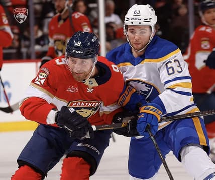 Florida panthers