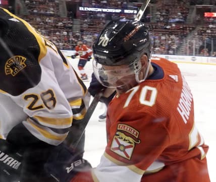 Florida panthers