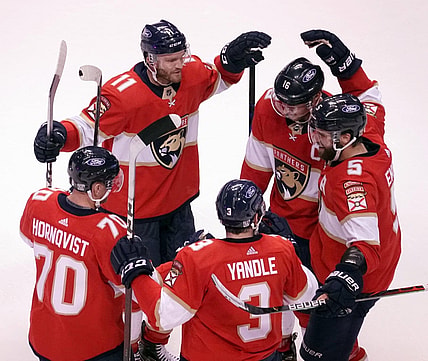 Panthers Bay Tampa