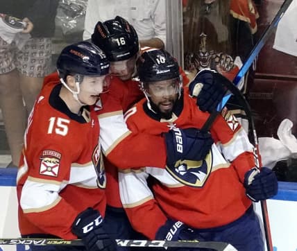Anthony Florida Panthers Duclair