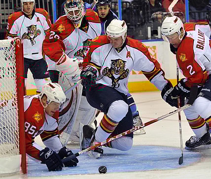 Florida panthers