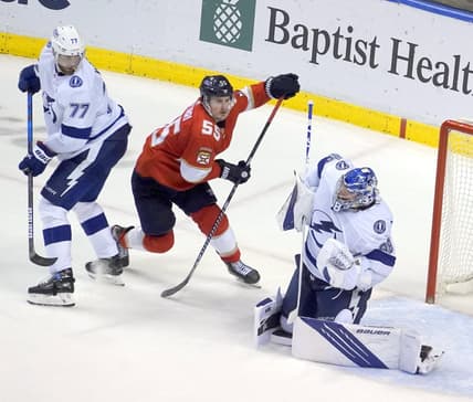 florida panthers