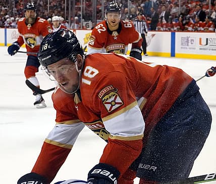 Florida panthers