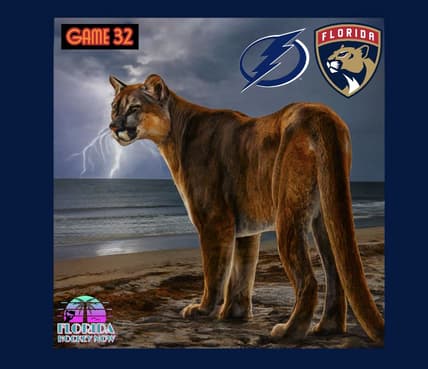 Panthers lightning