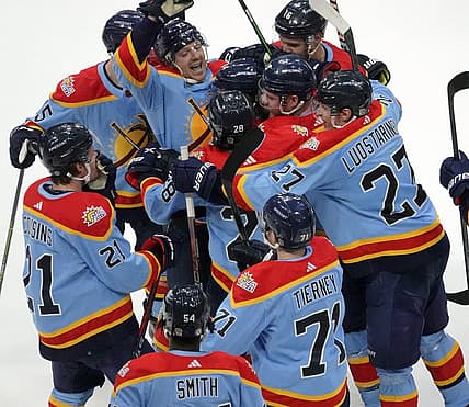 Florida panthers