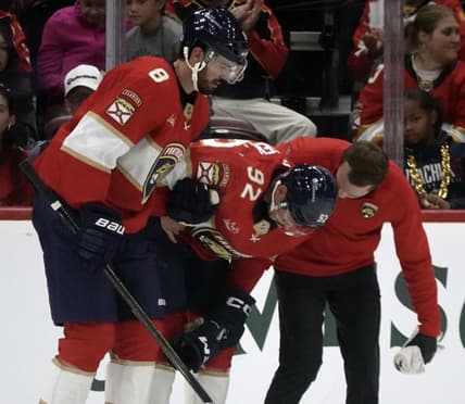 Florida panthers
